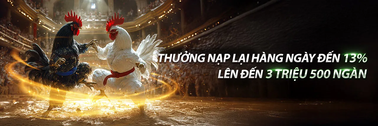 Đá gà trực tuyến tại PP88 với không khí sôi động